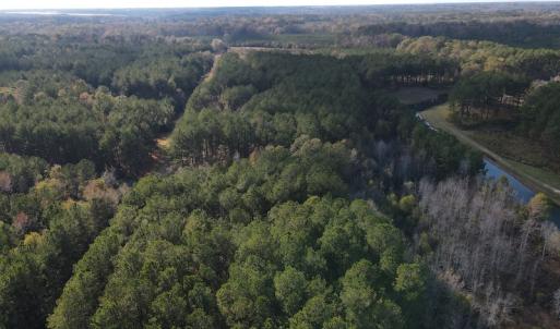 Photo #5 of 1512 Cedar Creek Road, Fayetteville, NC 32.0 acres