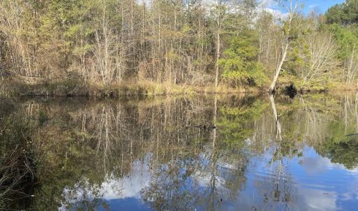 Photo #50 of 1512 Cedar Creek Road, Fayetteville, NC 32.0 acres