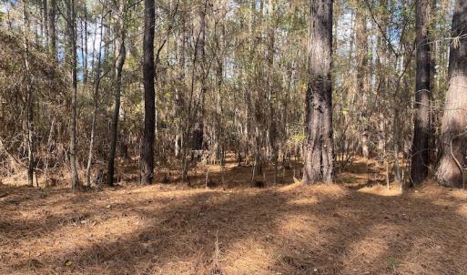 Photo #21 of 1512 Cedar Creek Road, Fayetteville, NC 32.0 acres