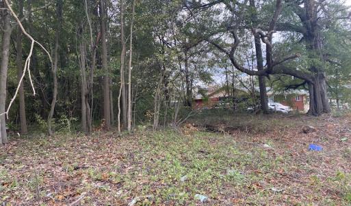 Photo #22 of 1512 Cedar Creek Road, Fayetteville, NC 32.0 acres