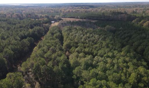 Photo #8 of 1512 Cedar Creek Road, Fayetteville, NC 32.0 acres