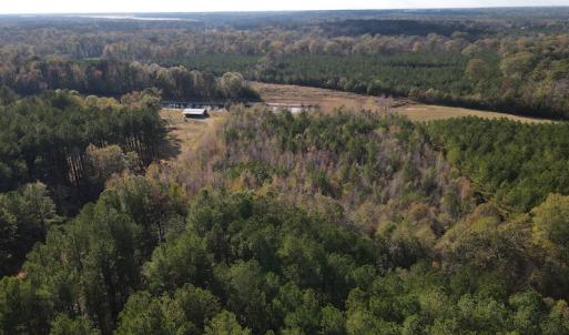 Photo #9 of 1512 Cedar Creek Road, Fayetteville, NC 32.0 acres