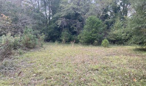 Photo #24 of 1512 Cedar Creek Road, Fayetteville, NC 32.0 acres