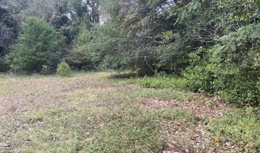Photo #25 of 1512 Cedar Creek Road, Fayetteville, NC 32.0 acres