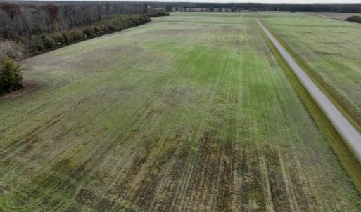 Photo #10 of SOLD property in 234 Burnt Mill Road, Edenton, NC 24.6 acres