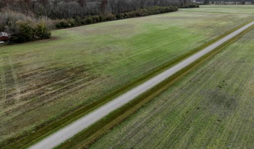 Photo #11 of SOLD property in 234 Burnt Mill Road, Edenton, NC 24.6 acres