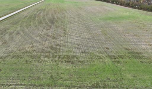 Photo #12 of SOLD property in 234 Burnt Mill Road, Edenton, NC 24.6 acres