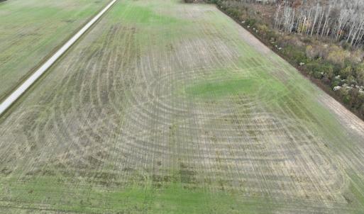 Photo #13 of SOLD property in 234 Burnt Mill Road, Edenton, NC 24.6 acres