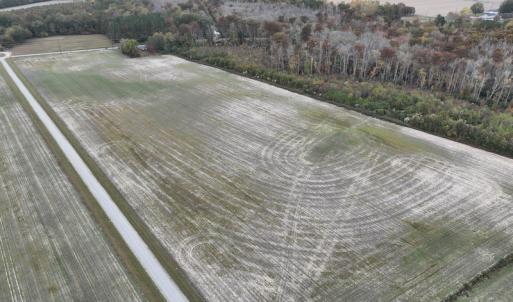 Photo #2 of SOLD property in 234 Burnt Mill Road, Edenton, NC 24.6 acres