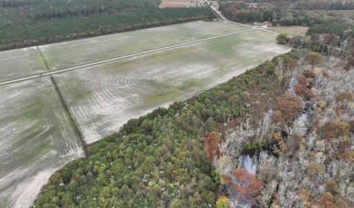 Photo #3 of SOLD property in 234 Burnt Mill Road, Edenton, NC 24.6 acres