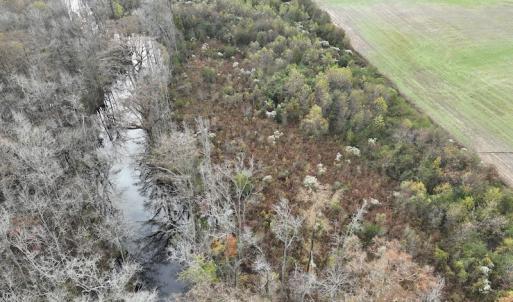 Photo #6 of SOLD property in 234 Burnt Mill Road, Edenton, NC 24.6 acres