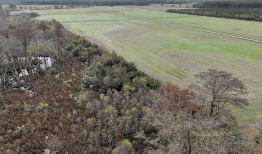 Photo #7 of SOLD property in 234 Burnt Mill Road, Edenton, NC 24.6 acres