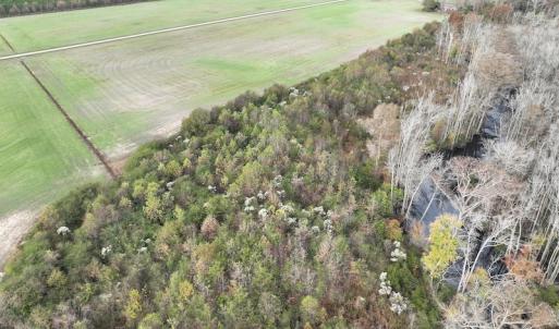 Photo #8 of SOLD property in 234 Burnt Mill Road, Edenton, NC 24.6 acres