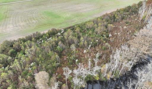 Photo #9 of SOLD property in 234 Burnt Mill Road, Edenton, NC 24.6 acres