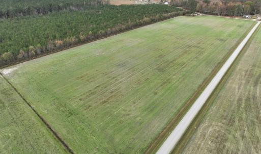 Photo #9 of SOLD property in 208 Burnt Mill Road, Edenton, NC 44.7 acres