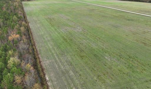 Photo #10 of SOLD property in 208 Burnt Mill Road, Edenton, NC 44.7 acres