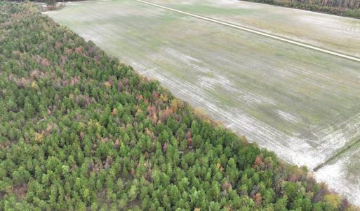 Photo #11 of SOLD property in 208 Burnt Mill Road, Edenton, NC 44.7 acres