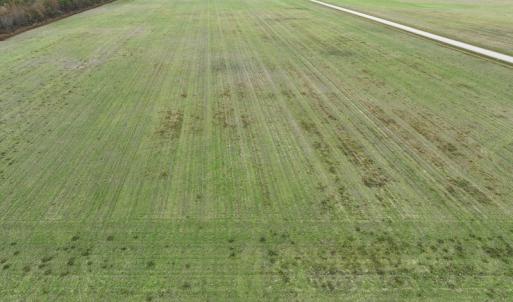 Photo #12 of SOLD property in 208 Burnt Mill Road, Edenton, NC 44.7 acres
