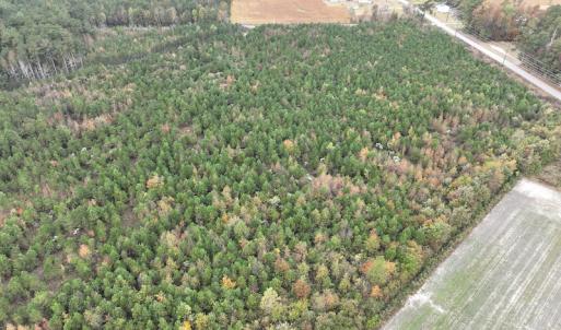 Photo #4 of SOLD property in 208 Burnt Mill Road, Edenton, NC 44.7 acres