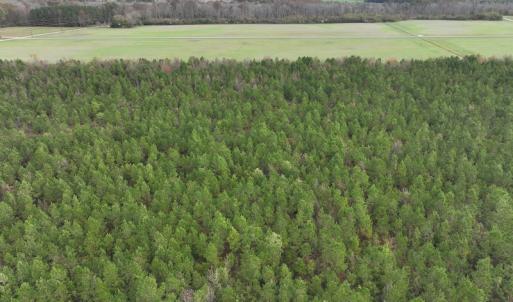 Photo #6 of SOLD property in 208 Burnt Mill Road, Edenton, NC 44.7 acres