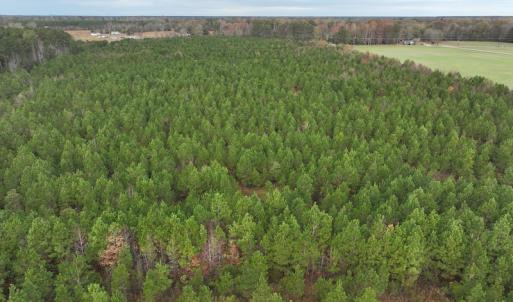 Photo #7 of SOLD property in 208 Burnt Mill Road, Edenton, NC 44.7 acres