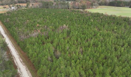 Photo #8 of SOLD property in 208 Burnt Mill Road, Edenton, NC 44.7 acres