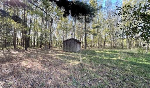 Photo #14 of SOLD property in Off Redwood Road, Onancock, VA 8.0 acres