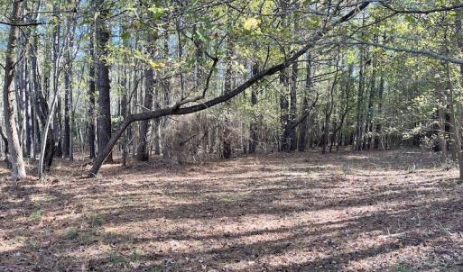 Photo #17 of SOLD property in Off Redwood Road, Onancock, VA 8.0 acres