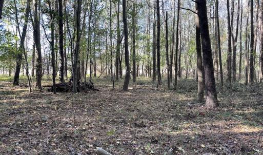Photo #20 of SOLD property in Off Redwood Road, Onancock, VA 8.0 acres