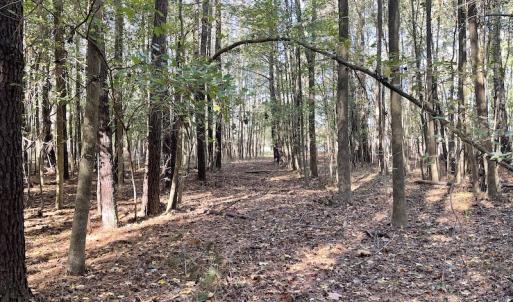 Photo #21 of SOLD property in Off Redwood Road, Onancock, VA 8.0 acres