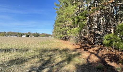 Photo #27 of SOLD property in Off Redwood Road, Onancock, VA 8.0 acres