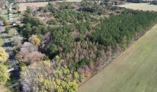 Photo #3 of SOLD property in Off Redwood Road, Onancock, VA 8.0 acres