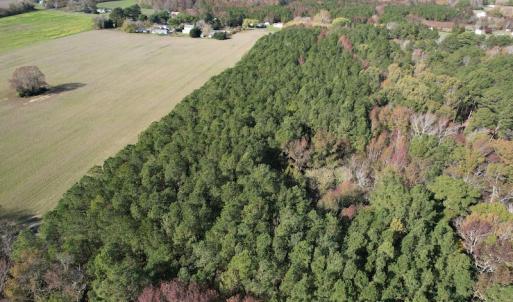 Photo #5 of SOLD property in Off Redwood Road, Onancock, VA 8.0 acres