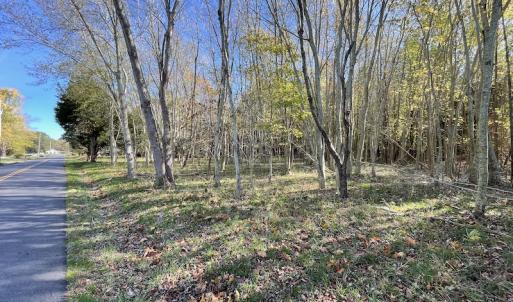 Photo #8 of SOLD property in Off Redwood Road, Onancock, VA 8.0 acres