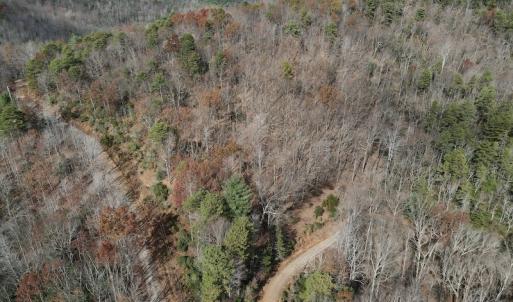 Photo #10 of SOLD property in Off Foley Road, Stuart, VA 6.3 acres