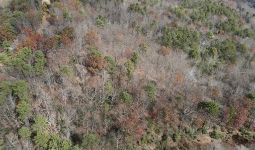 Photo #11 of SOLD property in Off Foley Road, Stuart, VA 6.3 acres