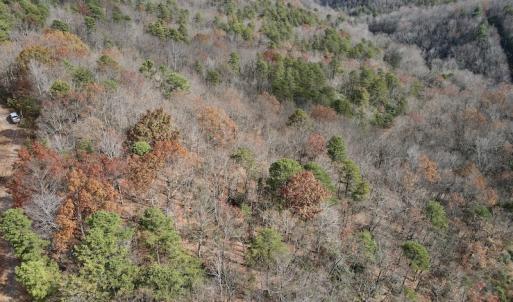 Photo #12 of SOLD property in Off Foley Road, Stuart, VA 6.3 acres
