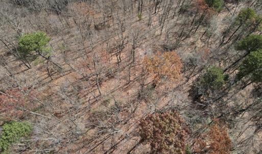 Photo #13 of SOLD property in Off Foley Road, Stuart, VA 6.3 acres