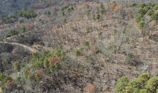 Photo #14 of SOLD property in Off Foley Road, Stuart, VA 6.3 acres