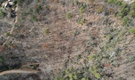 Photo #15 of SOLD property in Off Foley Road, Stuart, VA 6.3 acres