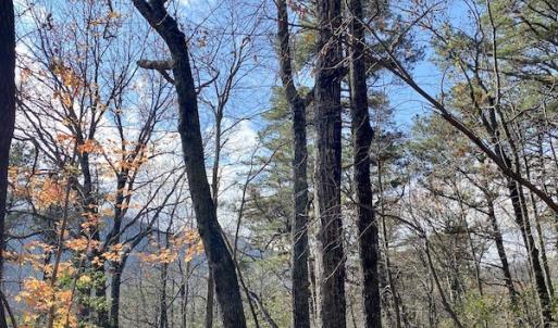 Photo #18 of SOLD property in Off Foley Road, Stuart, VA 6.3 acres