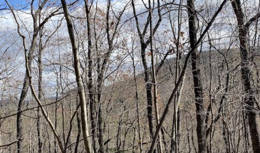Photo #19 of SOLD property in Off Foley Road, Stuart, VA 6.3 acres