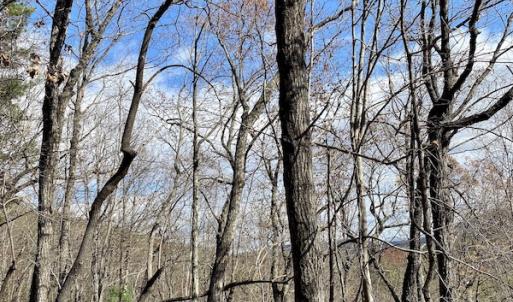 Photo #20 of SOLD property in Off Foley Road, Stuart, VA 6.3 acres