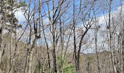 Photo #21 of SOLD property in Off Foley Road, Stuart, VA 6.3 acres