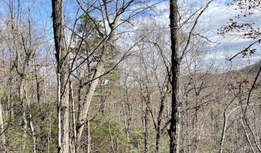 Photo #24 of SOLD property in Off Foley Road, Stuart, VA 6.3 acres
