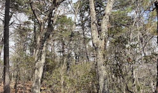 Photo #25 of SOLD property in Off Foley Road, Stuart, VA 6.3 acres