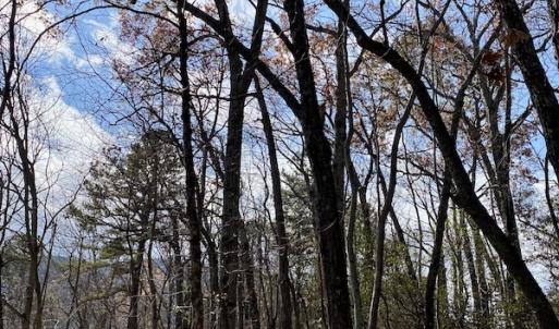 Photo #26 of SOLD property in Off Foley Road, Stuart, VA 6.3 acres