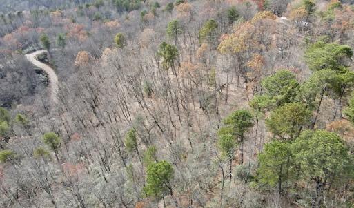 Photo #4 of SOLD property in Off Foley Road, Stuart, VA 6.3 acres