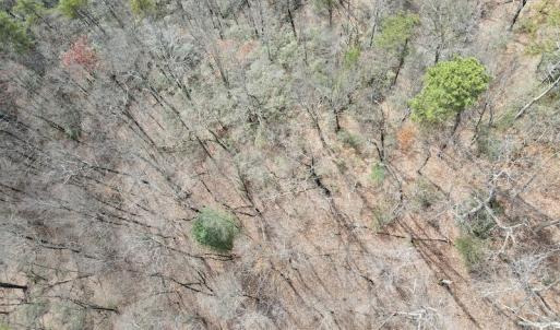 Photo #5 of SOLD property in Off Foley Road, Stuart, VA 6.3 acres