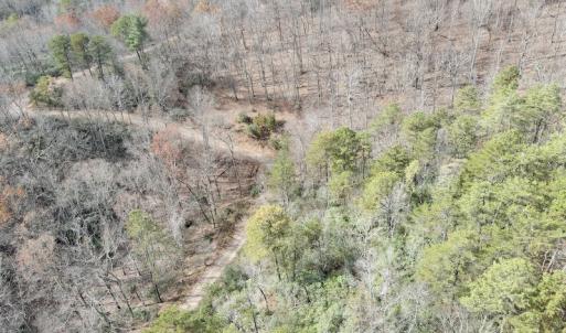 Photo #7 of SOLD property in Off Foley Road, Stuart, VA 6.3 acres
